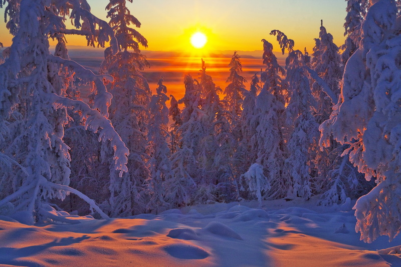 trees, Russia, Vladimir Ryabkov, Oymyakonsky district, ate, 1080P, winter, Yakutia, forest, sunset, snow
