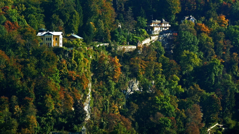 house, green, salzburg, 3d and abstract, forest, leave, threes, yellow, trees, mountain, austria, 1080P
