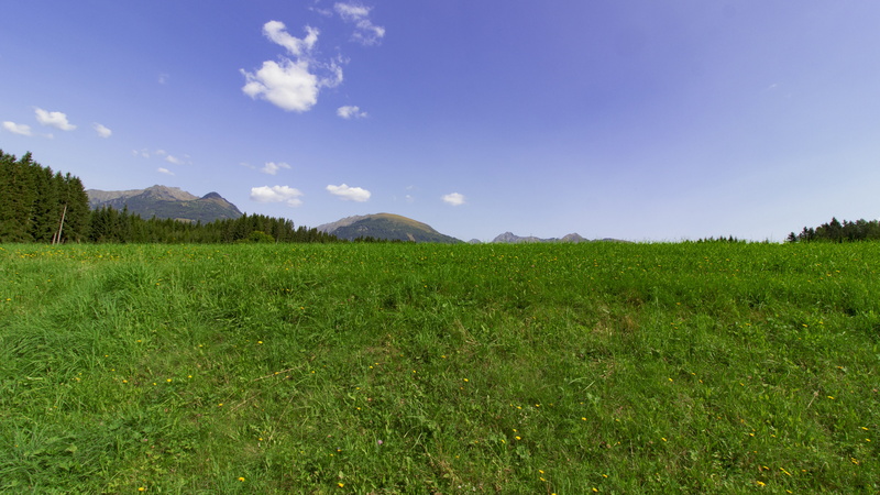 scenics - nature, tranquility, field, sky, salzburger land, lungau, environment, outdoors, view, nature, beauty in nature, grass, tree, summer, landscape