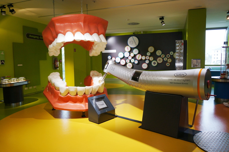 business, food and drink, dessert, architecture, container, house of nature, freshness, snack, salzburg, food, cash register, indoors, denture, dentist