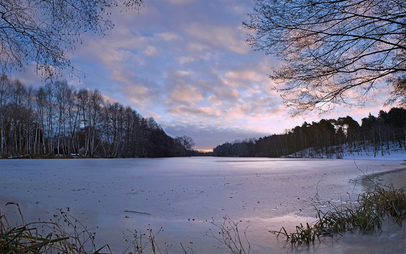 evening, beauty In Nature, rural Scene, growth, land, canada, freshness, snow, tree, woodland, water, sunset, non-Urban Scene, landscape, morning, tranquil Scene