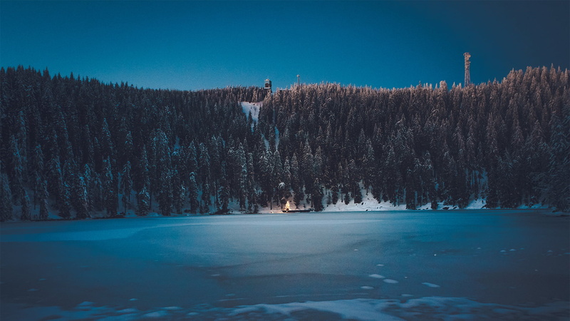 water, beauty in nature, cold temperature, nature, lake, plant, 1080P, ice, growth, tranquility, pine woodland, land, coniferous tree, night, blue, outdoors