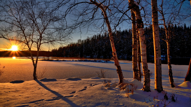 land, frozen, covering, landscape, outdoors, cold temperature, snow, sunlight, lake, no people, tranquil scene, plant, field, tranquility, winter, light