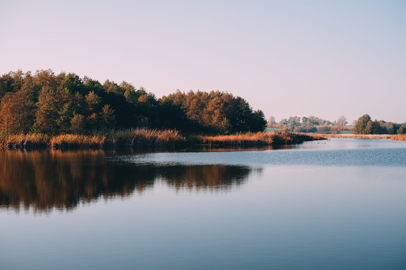 outdoors, tree, change, grass, glassy, grey, plant, urban, tranquil scene, 5K, reflection, poland, flora, reflecting, nature, building, sky, beauty in nature