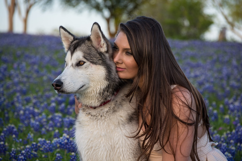 canine, long hair, domestic animals, purple, young women, summer, domestic, love, spring, hairstyle, young adult, family, hug, animal, eye, hold, dog, woman