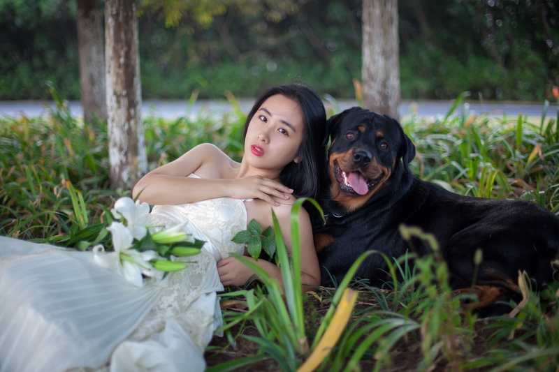 beside, relaxation, domestic, pets, nature, sitting, dog, woman with dog, women, domestic animals, young adult, leisure activity, beauty, adult, lawn, animals and humans