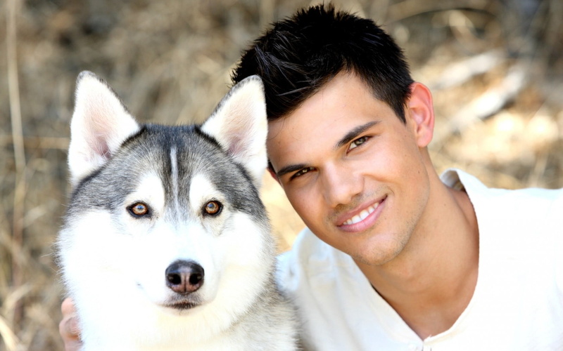 smiling, actor, taylor lautner, cute, one animal, mammal, beautiful, young Adult, one Person, siberian Husky, looking, adult, human Face, purebred Dog