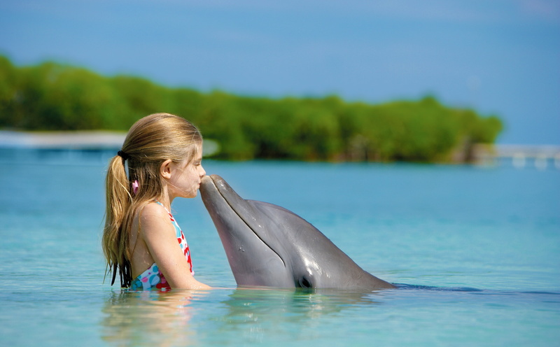 lifestyles, outdoors, Kiss, nature, 5K, real people, one person, leisure activity, gray, day, hairstyle, mammal, animal wildlife, swimming pool, Cute