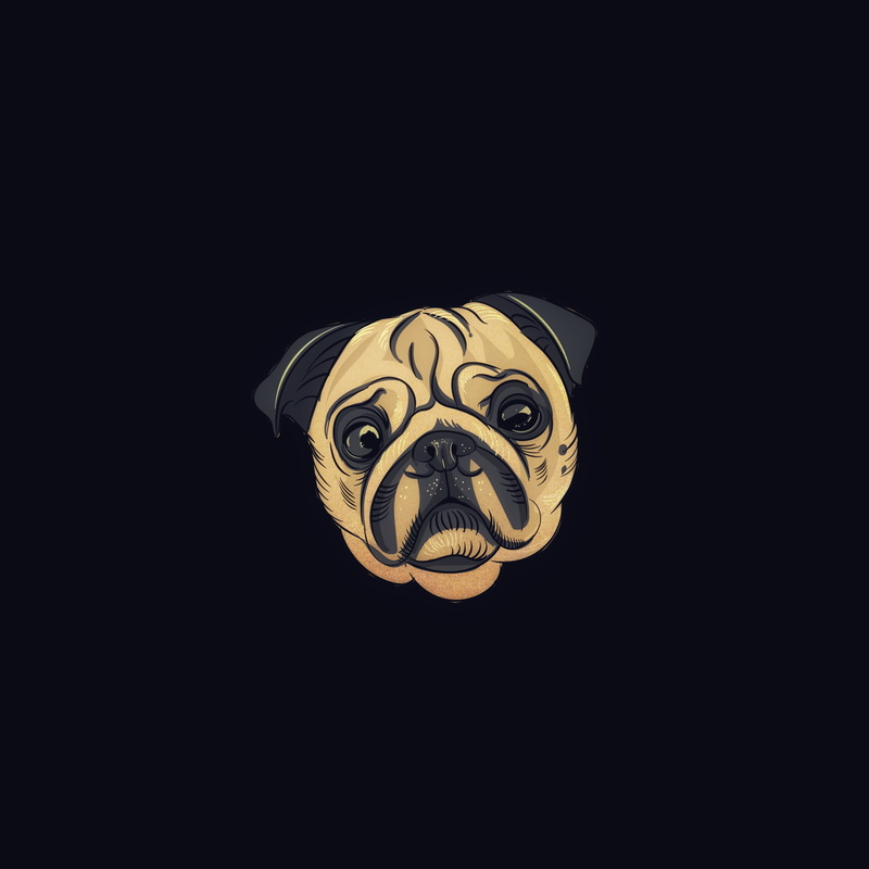 animal head, mask, one animal, animal representation, 2K, art, no people, feline, animal wildlife, mammal, art and craft, cut out, dog, disguise, black background