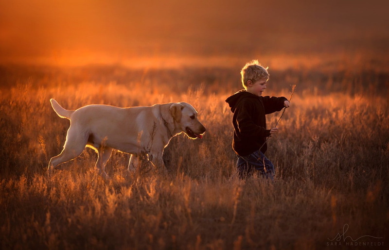 480P, nature, one person, sunset, grass, offspring, plant, profile view, males, innocence, children, blond hair, photography, child, standing, domestic