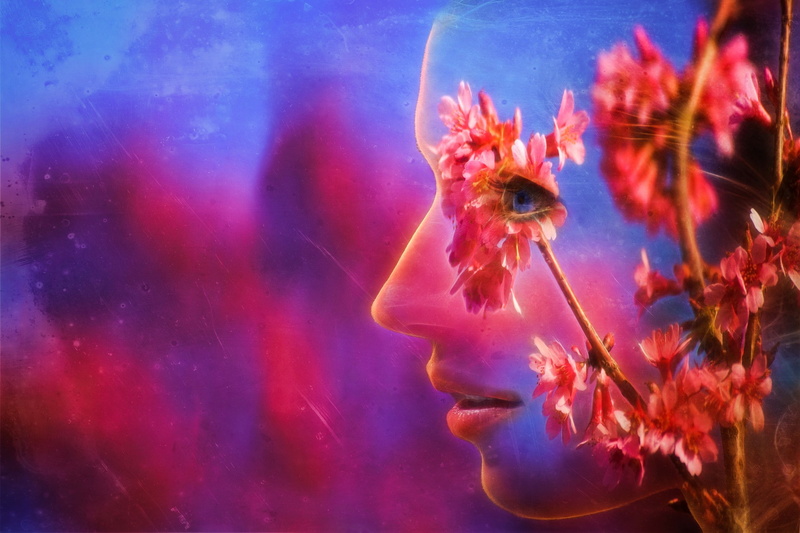 s, pink, profile, petal, woman, branch, graphics, flower, 1080P, flowers, Abstract, face, spring