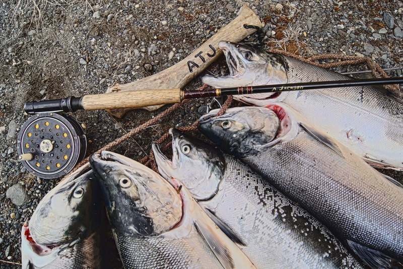 healthy eating, alaska, close-up, no people, day, reel, food, wellbeing, high angle view, catch, raw food, fly fishing, fish, fishing, 4K, seafood, salmon