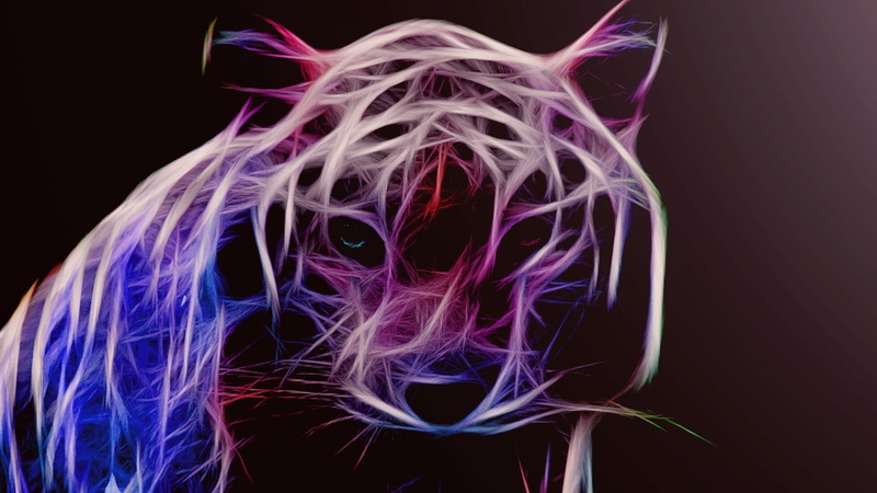 purple, pink color, indoors, creativity, black background, technology, illuminated, chaos, close-up, studio shot, Siberian tiger, motion, red, pattern