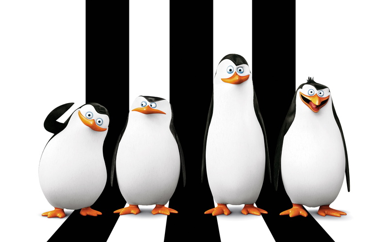 illustration, white color, food and drink, studio shot, cartoon, bird, human representation, Rico, group of objects, madagascar, Kowalski, penguin, no people