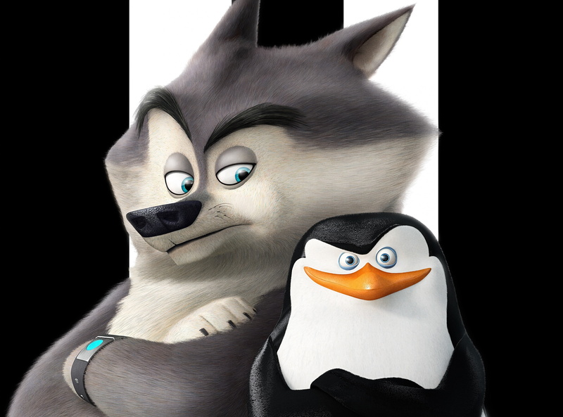 animal, domestic cat, Funny, Classified, black background, mask, disguise, Skipper, animal themes, studio shot, portrait, 2K, Cute, domestic, Cartoons