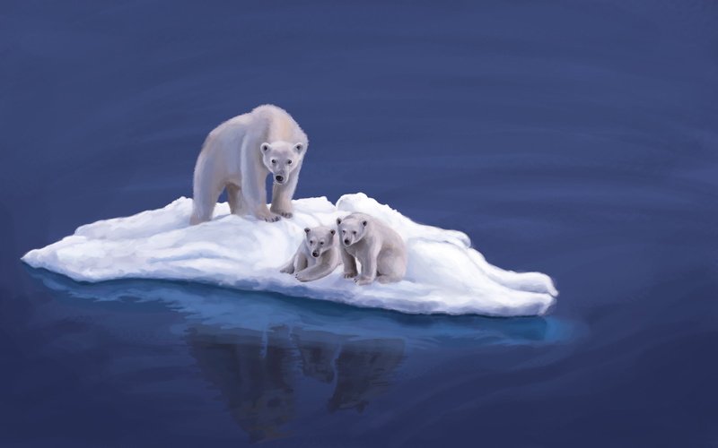 three, wildlife, mammal, day, white color, animal wildlife, snow, carnivore, north Pole, sea, island, outdoors, animal, ice, cute, animal themes, winter