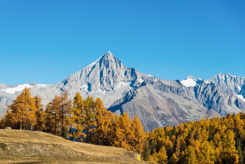 environment, 4K, tranquility, mountain peak, plant, sky, autumn, cold temperature, bietschhorn, pine woodland, nature, winter, tree, valais, tranquil scene