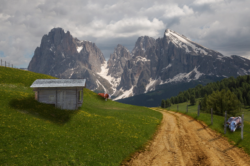 landscape, alpine, allgäu, meadow, idyll, no people, dolomites, carinthia, near, celts village, land, shed, hut, summer, village, switzerland, range, collage