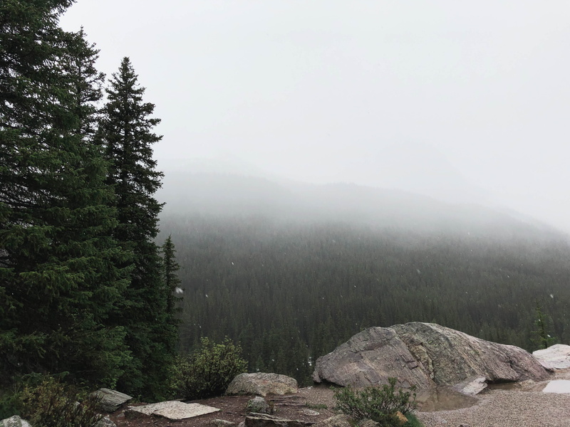 nature, growth, plant, conifer, flora, day, bosque, soledad, no people, crest, rock - object, outdoors, coniferous tree, solid, sky, tree, foggy, mountain range