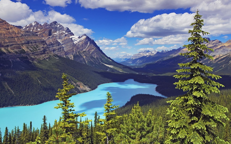 park, forest, crude, canada, national, desktop, moraine, blue, pine, hd, banff, mountains, 1080P, landscape, lake, rocky