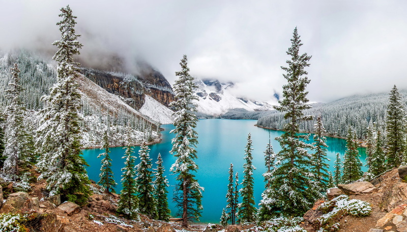 land, nature, idyllic, summer, rock - Object, pine Tree, beauty In Nature, trees, vacations, evergreen tree, outdoors, tree, wilderness Area, non-urban scene