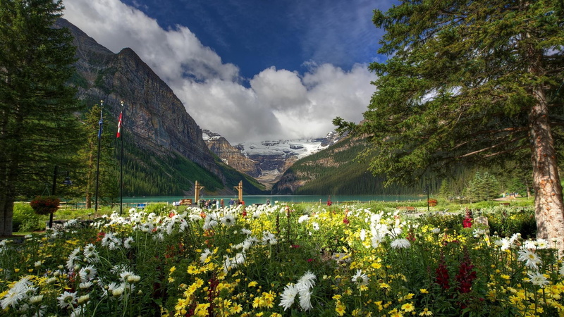 flowers, mountains, nature and landscapes, yellow, carden, white, beautiful, gardens, chateau, louise, lake, 1080P