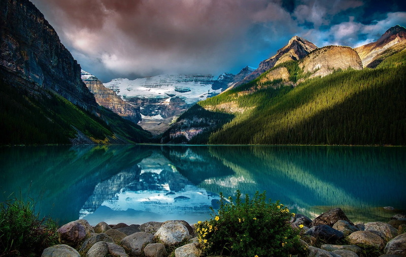 wildflowers, Alberta, photography, clouds, mountains, snow, nature, reflection, Canada, Lake Louise, forest, 720P, landscape, calm waters, lake