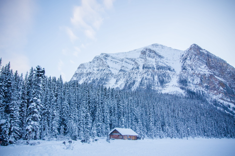 idyllic, scenics - nature, sky, architecture, tree, beauty in nature, trees, built structure, cold temperature, winter, cabin, 5K, plant, tranquil scene