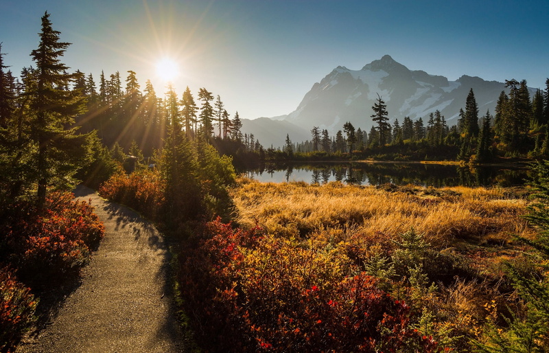 woodland, environment, travel, famous Place, mountain Peak, change, scenics, scenics - nature, blue, river, leafed, sky, european Alps, outdoors, dolomites