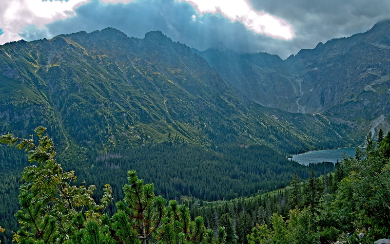 tranquility, land, tree, ridge, pine woodland, tatry, tourism, tranquil scene, outdoors, green color, lake, sky, non-urban scene, forest, 5K, mountain range