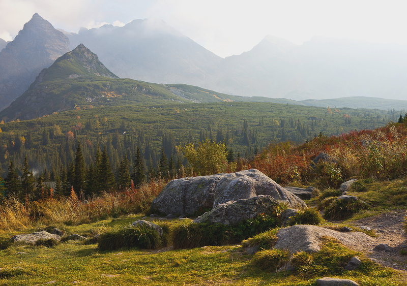 the fog, hala gąsienicowa, the national park, farewell look, tranquility, rocks, mountain peak, a mountain range, the stones, coniferous tree, kościelec large