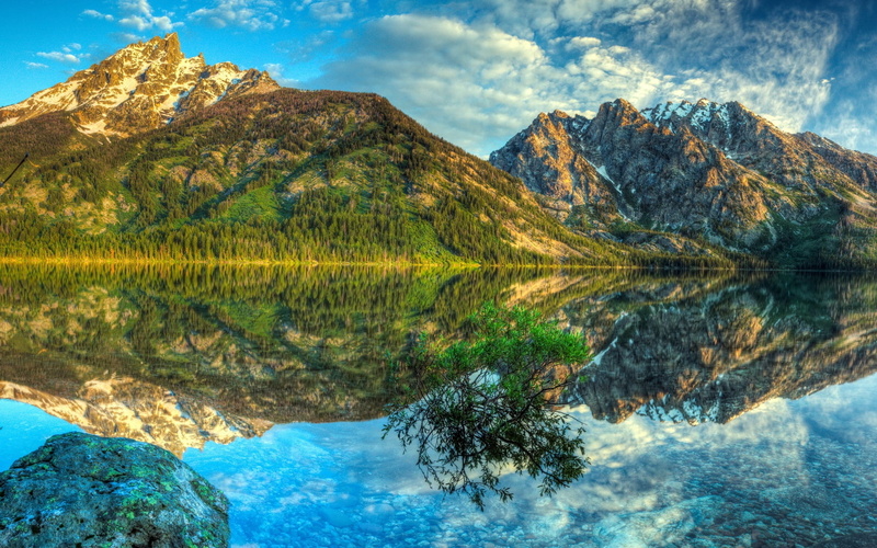 bush, panoramic, tree, summer, solid, travel Destinations, tranquility, vacations, valley, mountains, hill, landscape, tatra Mountains, park - Man Made Space