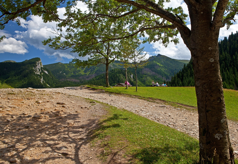 tatry, rest on the trail, environment, outdoors, green color, tree, shadows, way, foliage, the national park, sharp, growth, tour, white, sky, blue, non-urban scene
