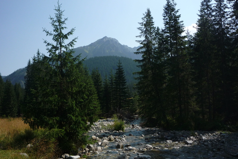 hiking trails, tourism, beauty in nature, the beauty of the mountains, tree, nature, tranquility, water, high, top view, outdoors, top, view, growth, rock
