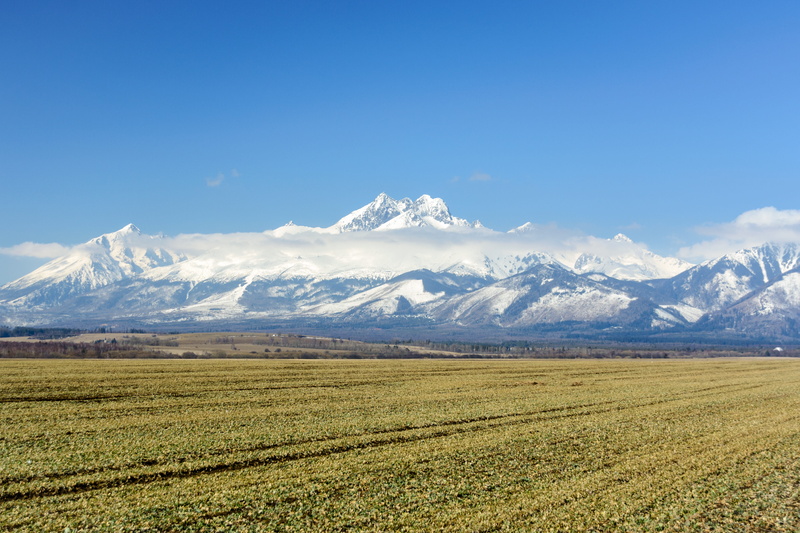 mountain landscape, hiking, land, field, mountain peak, the height of the, scenics - nature, tourism, the national park, mountain range, plant, view, blue sky