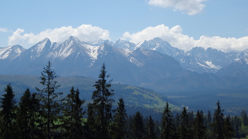 pine woodland, holiday, scenics, evergreen tree, tree, mountain Range, mountain, the high tatras, beauty in nature, hiking trails, snow, coniferous tree
