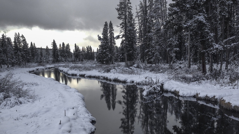 snow, 1080P, river, environment, trees, water, Yellowstone National Park, nature, tranquil scene, tree, sky, land, tranquility, winter, USA, scenics - nature