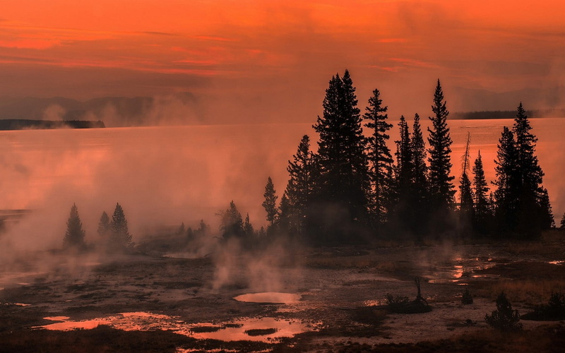 Yellowstone National Park, cloud - sky, coniferous tree, sky, power in nature, trees, non-urban scene, shrubs, environment, sunset, plant, 720P, tranquility
