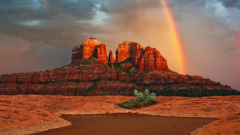 nature and landscapes, 1080P, desert, rainbow, cactus, next, cathedral, rock, river