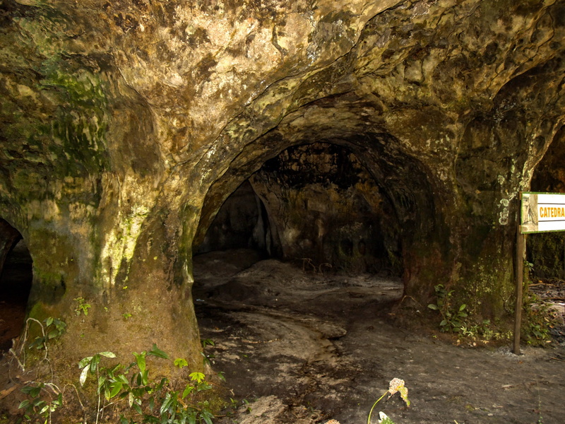 indoors, architecture, solid, brazil, photo, rocks, cave, geology, underground, arch, cathedral, plant, tranquility, land, nature, no people, green, built structure