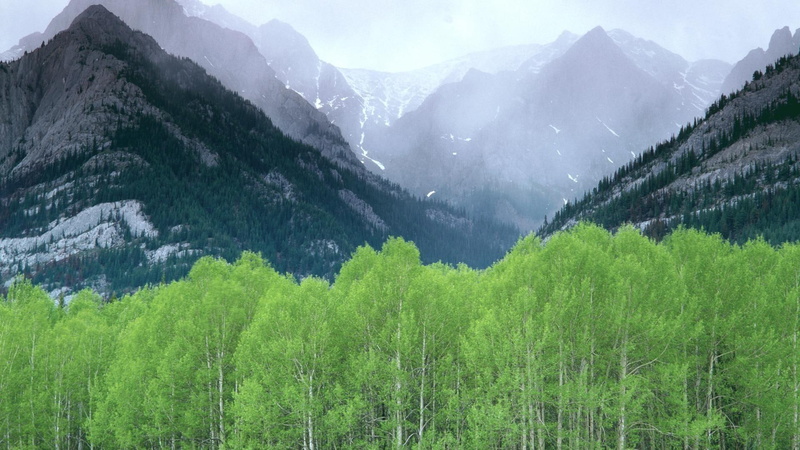mountain, nature, rockies, trees, canada, green, canadian, 1920x1080, canadian rockies, 1080P