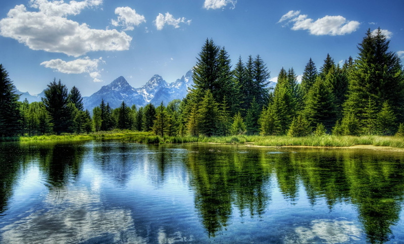 trees, wilderness Area, canadian Rockies, water, no People, park - Man Made Space, travel Destinations, national Landmark, scenics - nature, pine Tree
