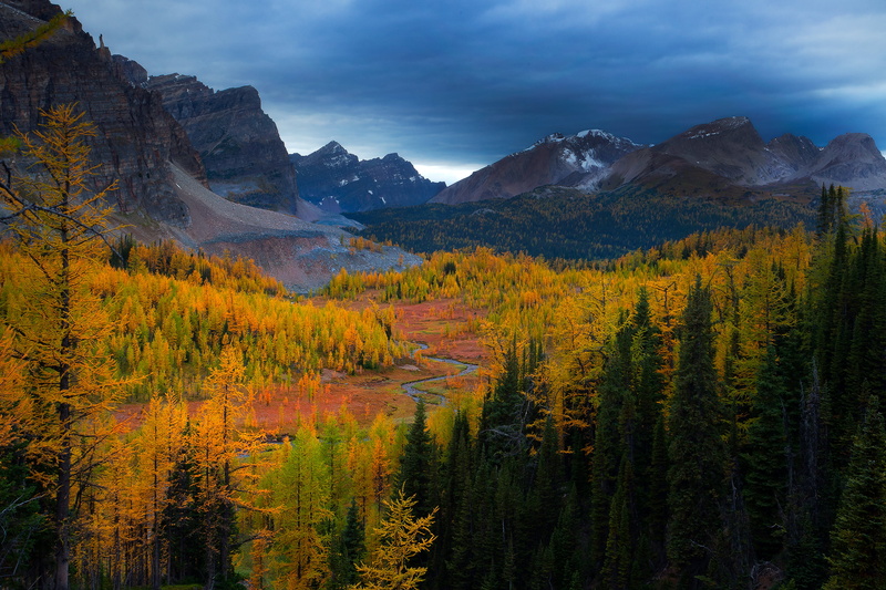 change, plant, travel, canadian Rockies, water, woodland, color Image, mountain, banff, park - Man Made Space, non-urban scene, pine Tree, land, sunlight