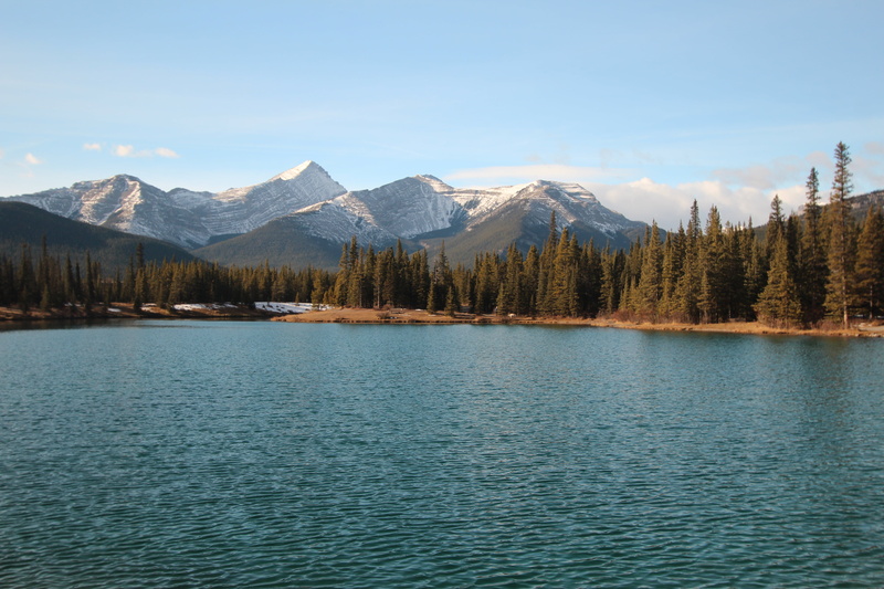 outdoors, scenics, mountain, Kananaskis  country, rocky Mountains, Forget me not, pine trees, water, tree, trees, lake, nature, body, Kananaskis country