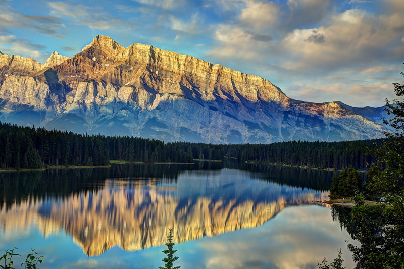 national Park, wilderness Area, tree, outdoors, pine Tree, autumn, extreme Terrain, tourism, mountains, vacations, brown, reflection lake, alberta, scenics - nature