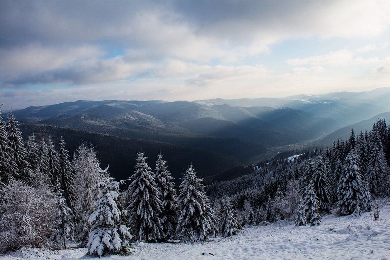cloud - sky, sun rays, day, trees, clouds, pine, winter, pine trees, mountain, snow, 2K, nature, scenics - nature, snowcapped mountain, hills, tranquility