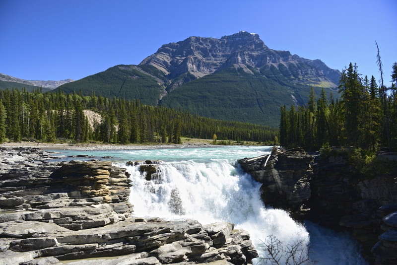 Jasper National Park, Canada, Rock, Waterfalls, 1080P, Forest, River, Athabasca Falls, Waterfall, Nature, Mountain