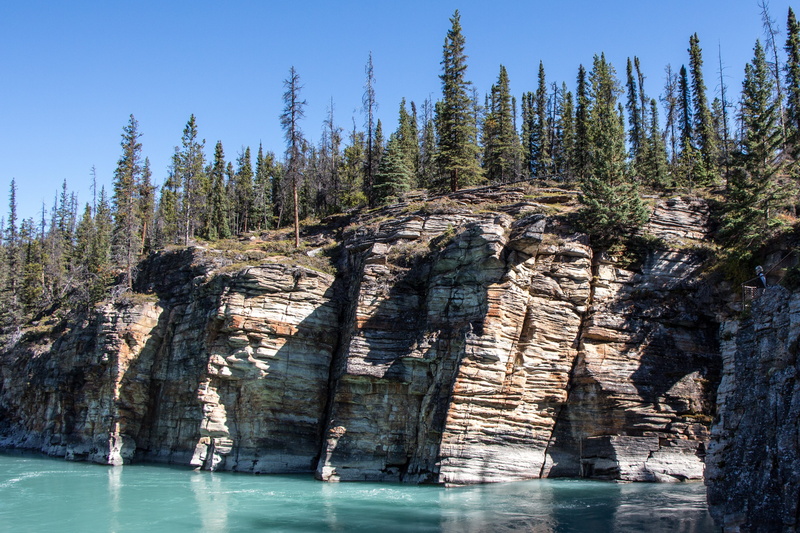 cliff, no people, tourism, scenic, park, travel, national, wildlife, nature, land, tranquility, pine trees, runoff, solid, terrain, tranquil scene, tree