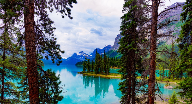 nature, mountain, cloud - sky, maligne lake, tree, beauty in nature, glacier lake, non-urban scene, growth, canada, jasper, blue water, scenics - nature