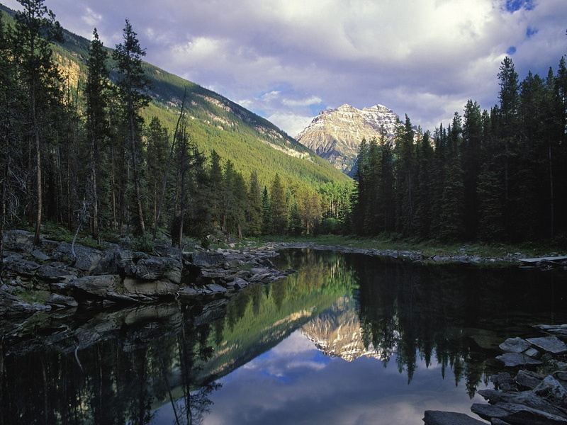 mountain Peak, mountain Range, river, no People, national Park, canadian Rockies, trees, wilderness Area, extreme Terrain, valley, rocky Mountains, tranquil Scene